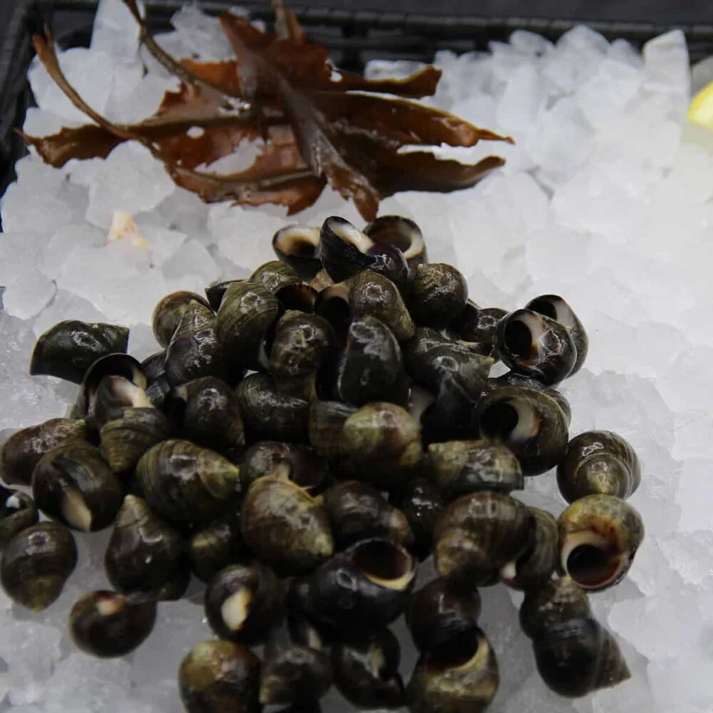 Bigorneaux cuits maison (100g)