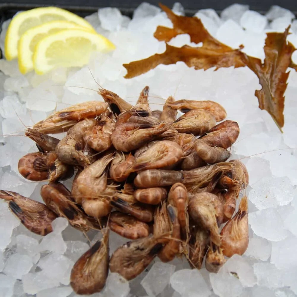 Crevettes grises (50g)