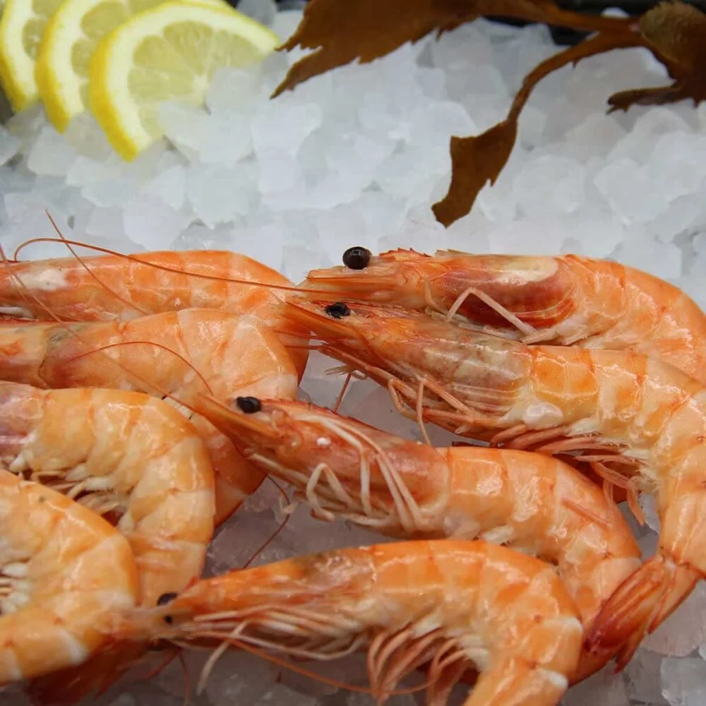 Crevettes roses petites (100g)