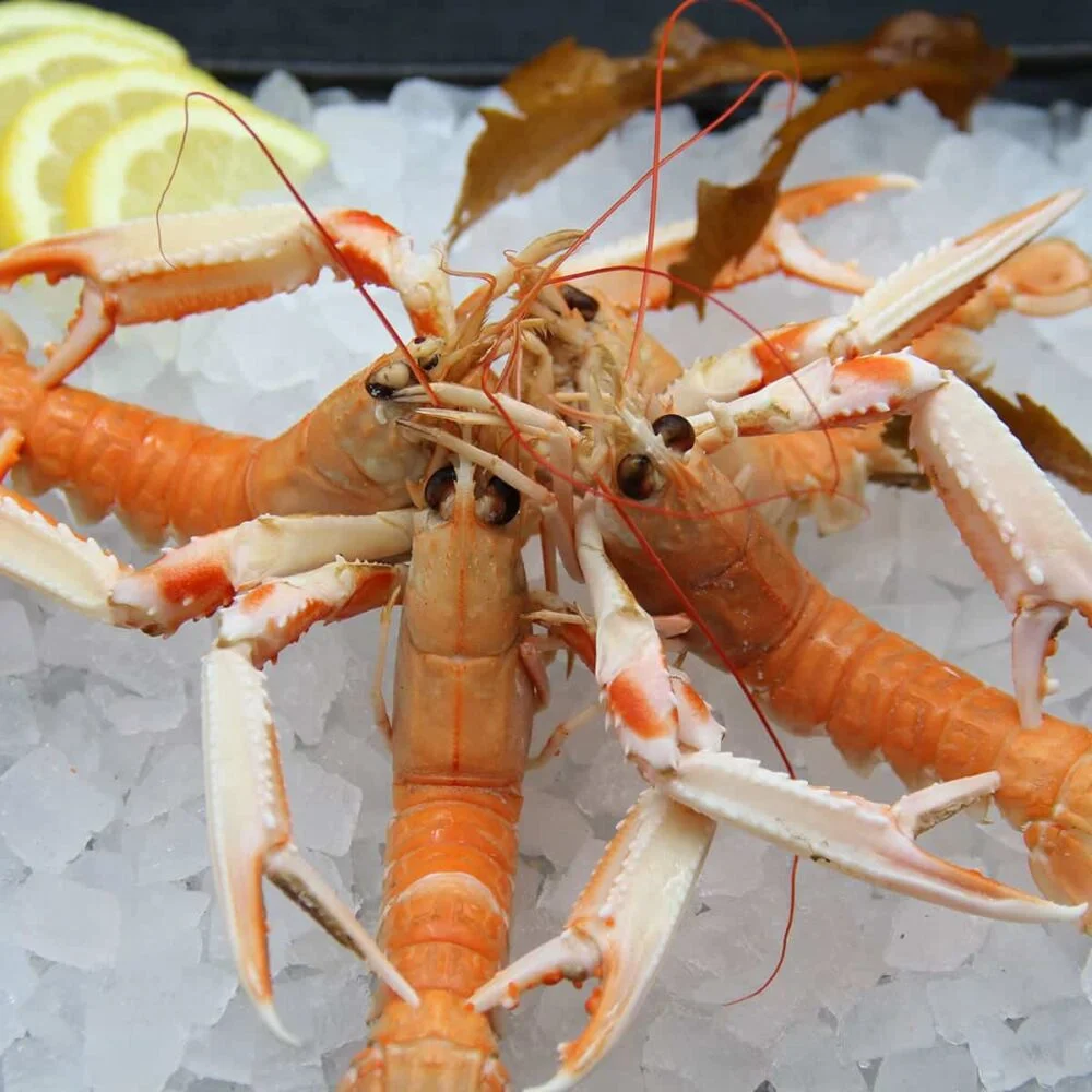 Langoustines (100g)