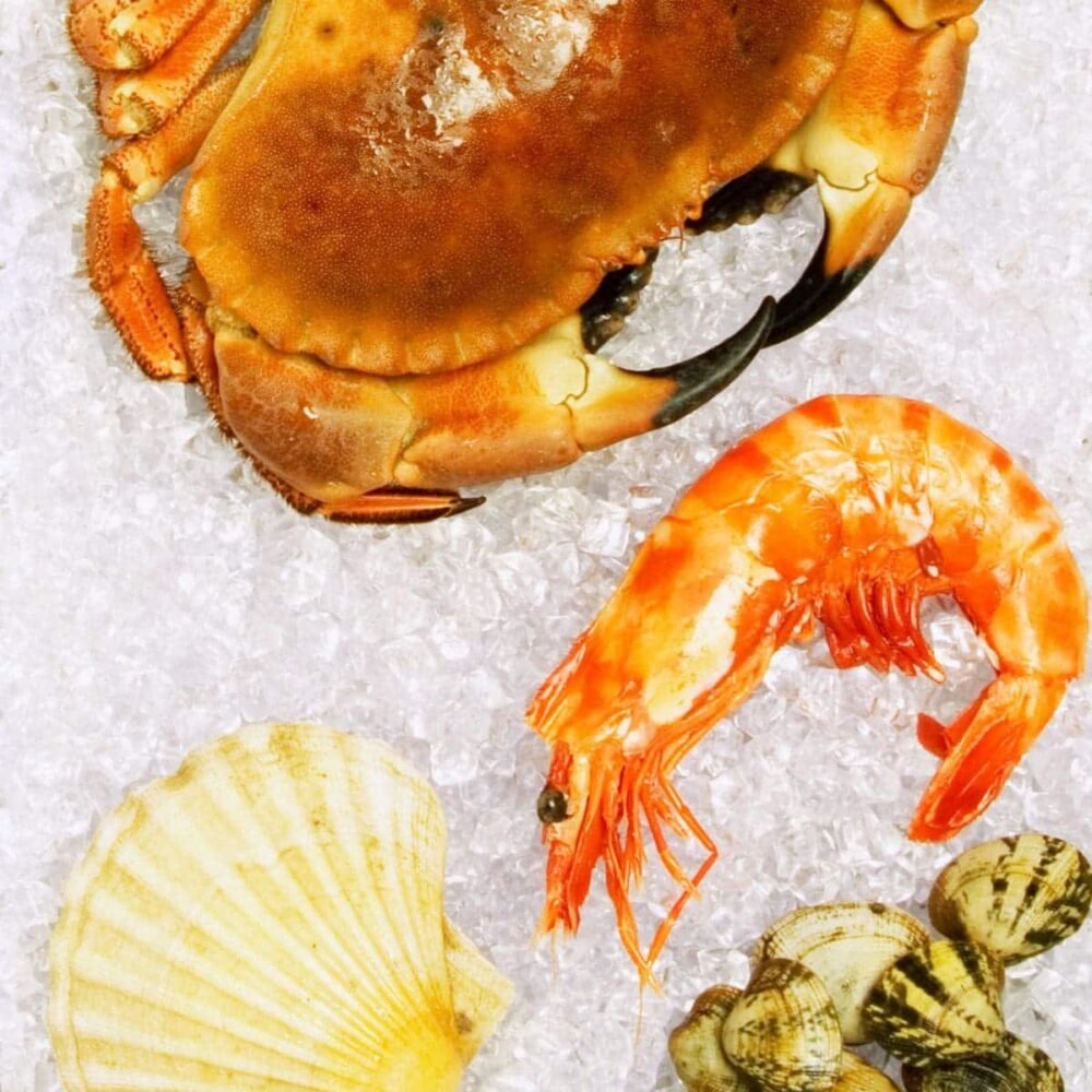 Coquillages & Crustacés
